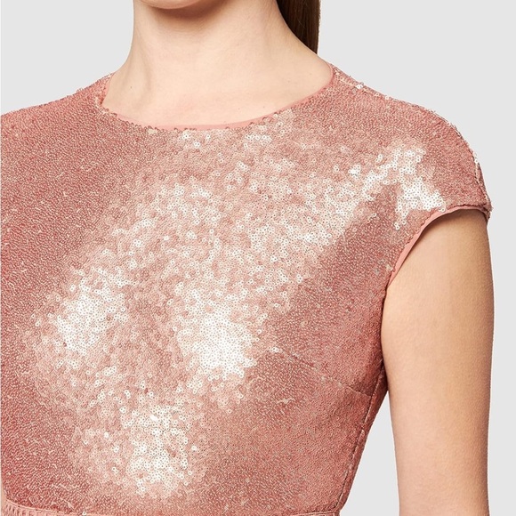 Truth & Fable Rose Blush Chiffon Maxi Dress - Picture 4 of 7